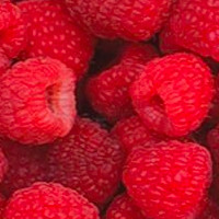 Red Raspberry Seed Oil