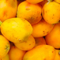 Marula Oil